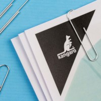 Paperclips - Galvanised - 50 mm