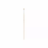 Paint brushes - Lyons - Flat ferrule, long handled - Nr. 2