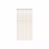 Paint brushes - Lyons - Flat ferrule, long handled - Nr. 2