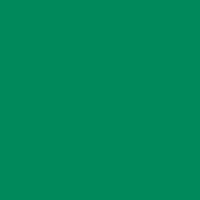 Interpaint - 1 Litre bottle - Christmas green