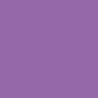 Interpaint - 1 Litre bottle - Violet