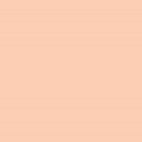 Interpaint - 1 Litre bottle - Salmon pink
